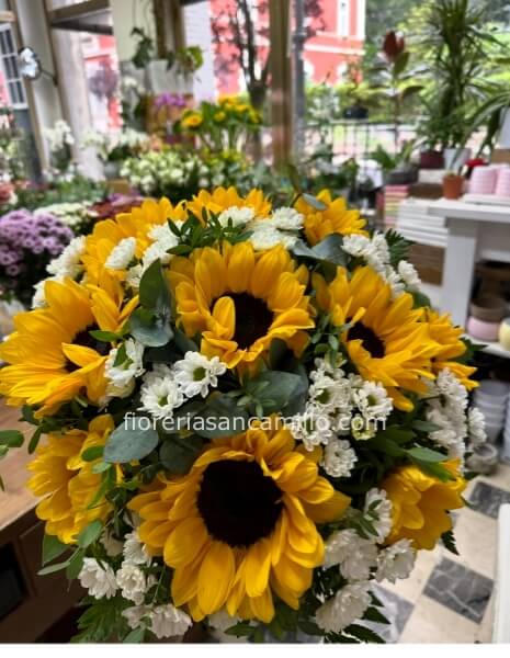 Girasoli e misto bianco