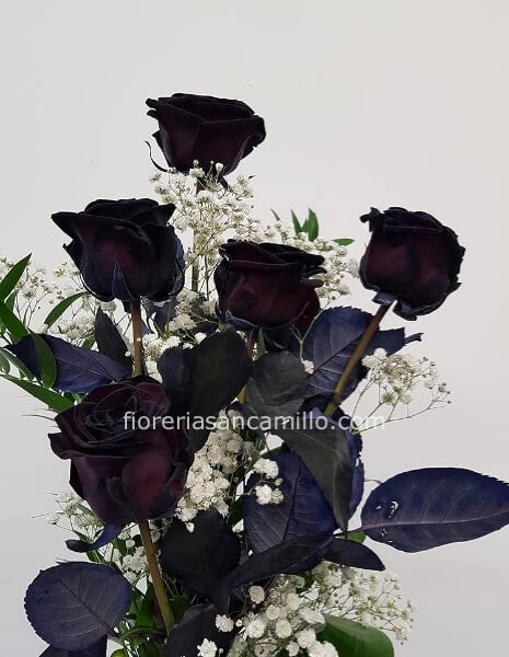 Bouquet di rose nere