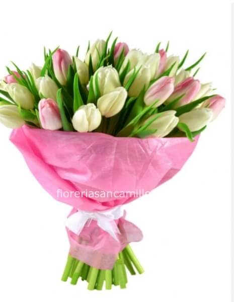 Tulipani colori chiari