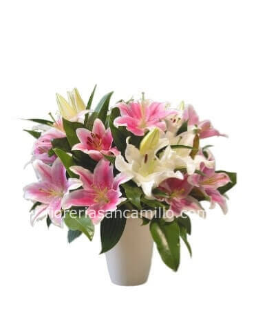 Mazzo di lilium assortiti