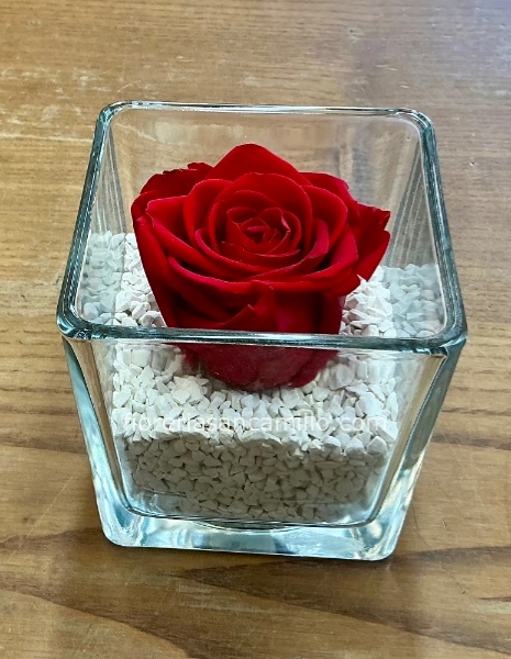 Rosa stabilizzata 