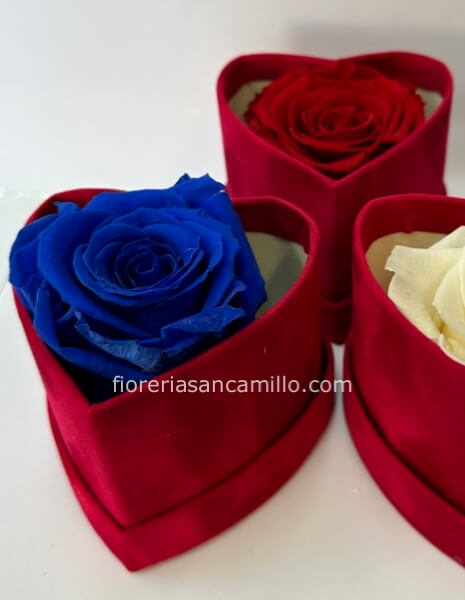 Rosa stabilizzata in scatola velluto