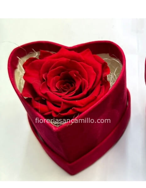 Rosa stabilizzata in cuore velluto