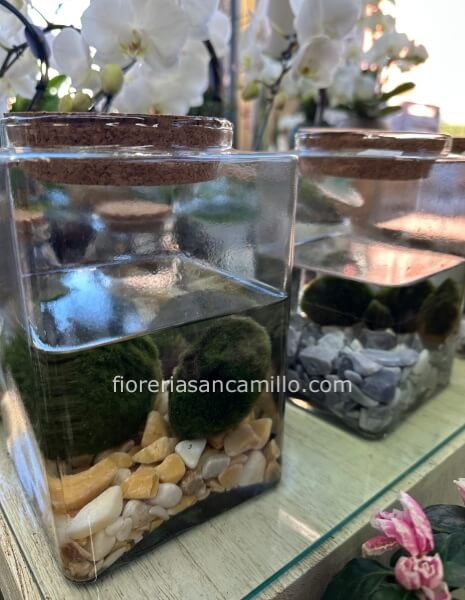 Marmo grande vaso da 20cm alto