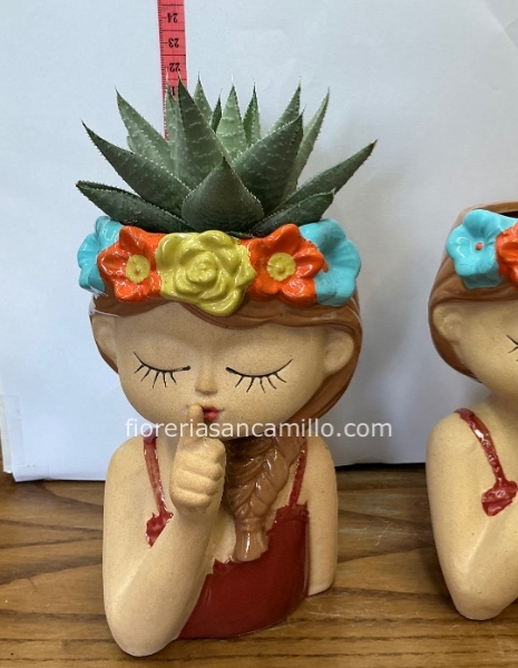 Vaso Kelly con piantina di  aloe