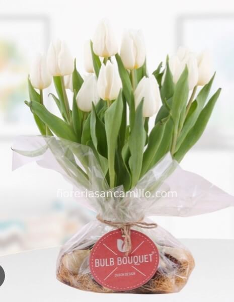 Mazzo Tulipani in bulbo in base alla disponibilità di colore 